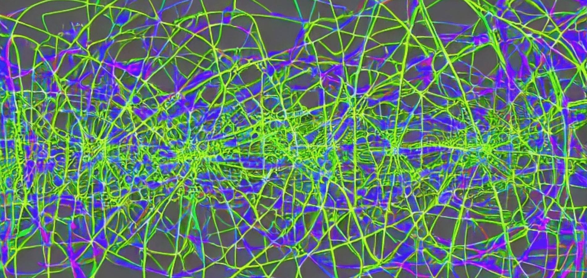 Image showing the Natural Computing: Implementing and analysis of PSO, GA and GP project.