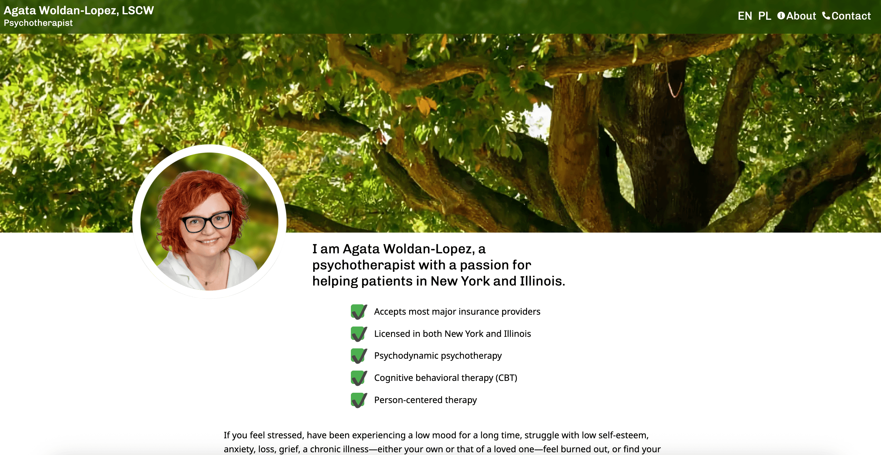 Image showing the Portfolio website for an Psychotherapist project.